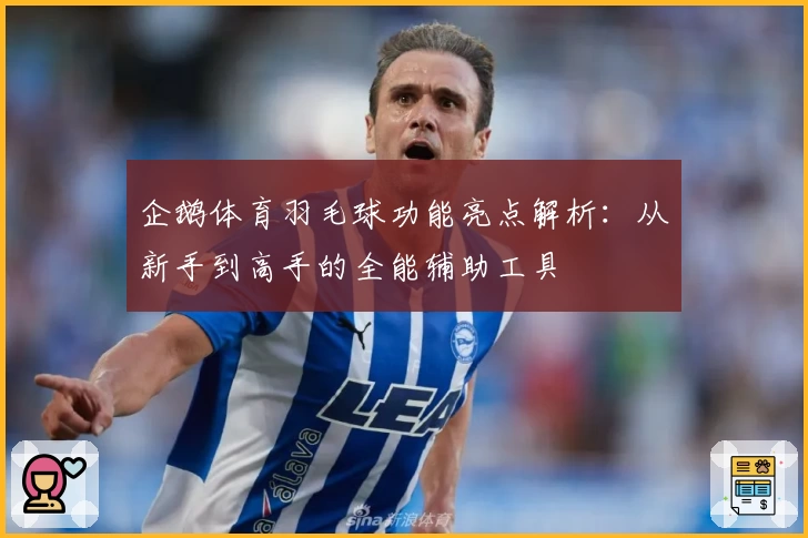 企鹅体育羽毛球功能亮点解析：从新手到高手的全能辅助工具