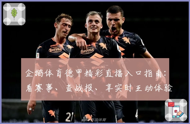 企鹅体育德甲精彩直播入口指南：看赛事、查战报、享实时互动体验！