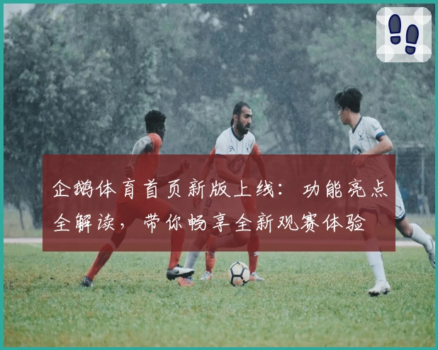 企鹅体育首页新版上线：功能亮点全解读，带你畅享全新观赛体验